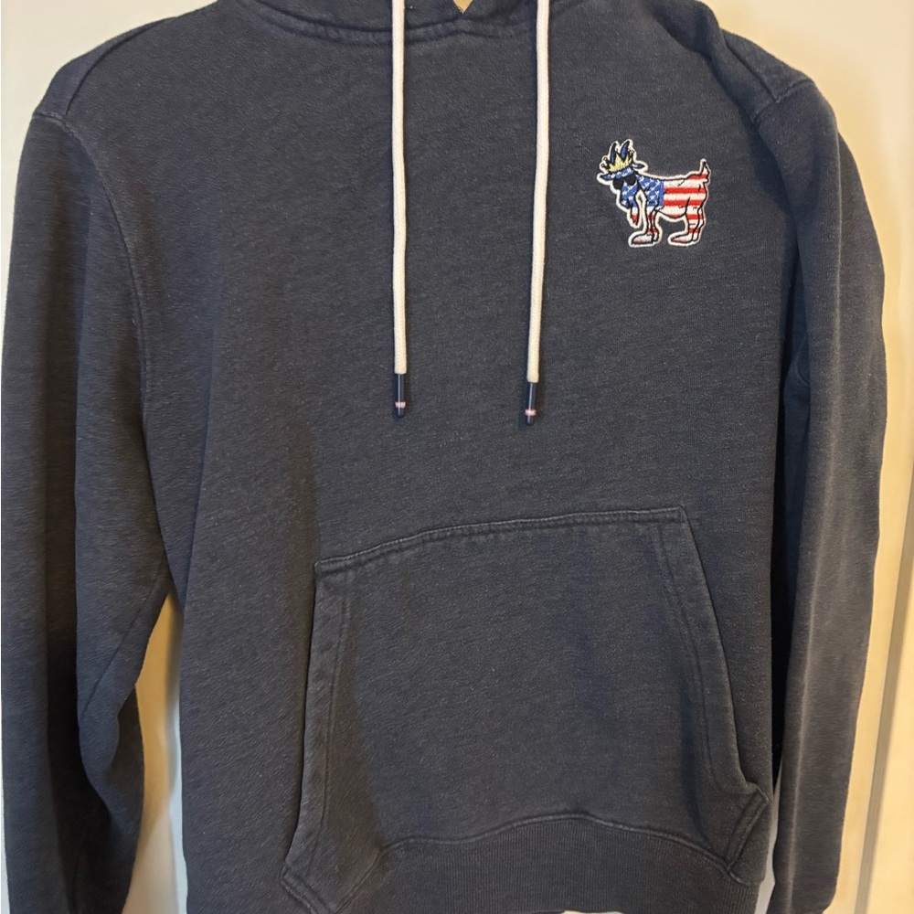 USA GOAT hoodie